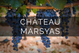 Chateau Marsyas