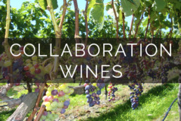 Collaboration Wines