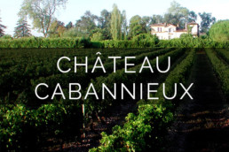 Chateau Cabannieux