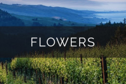 Flowers Winery & Vineyard