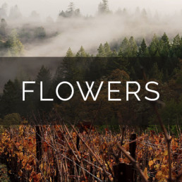 Flowers Winery & Vineyard