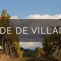 HdV Wines - Hyde de Villaine
