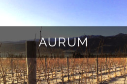 Aurum Wines
