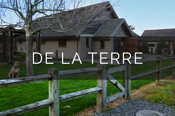 De La Terre