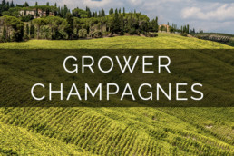 Grower Champagnes