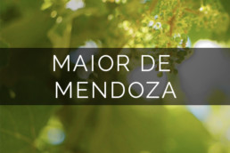 Maior de Mendoza