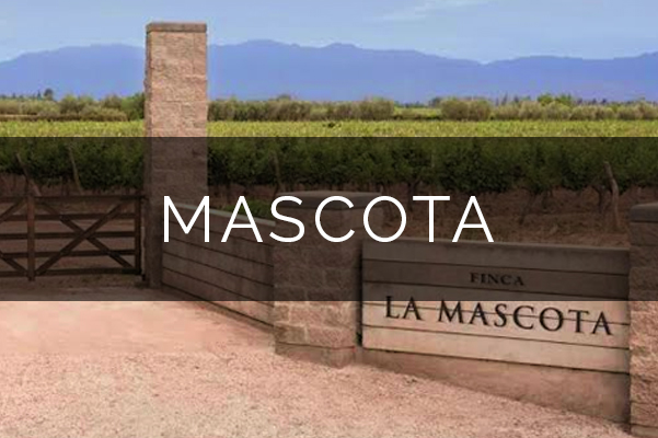 Mascota Vineyards