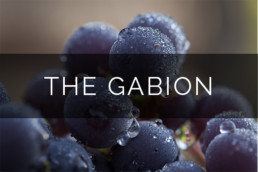 The Gabion