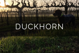 Duckhorn Vineyards