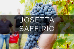 Josetta Saffirio