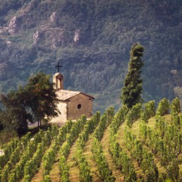 Paul Jaboulet La Chapelle Chapel