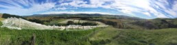 View of Waipara vineyard