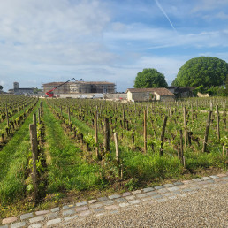 Bordeaux Report 2023 - Day 1: Visit 1