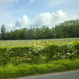 Bordeaux Report 2023 - Day 1: Visit 3