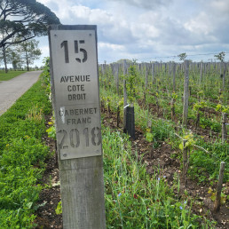 Bordeaux Report 2023 - Day 1: Visit 3