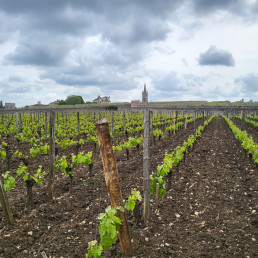 Bordeaux Report 2023 - Day 1: Visit 4