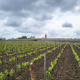 Bordeaux Report 2023 - Day 1: Visit 4