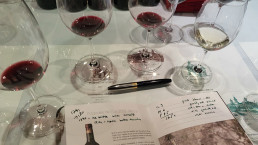 Bordeaux Report 2023 - Day 2: Visit 15