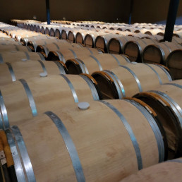 Bordeaux Report 2023 - Day 3: Visit 21