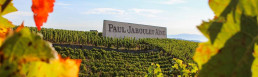 The Rhones' Paul Jaboulet Aine