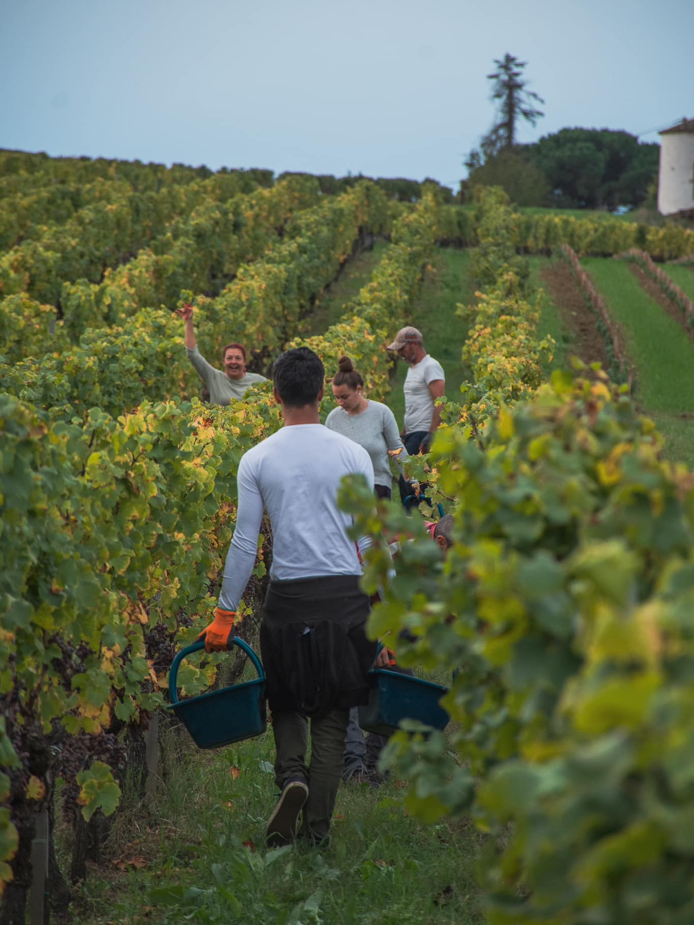 Chateau d'Arche