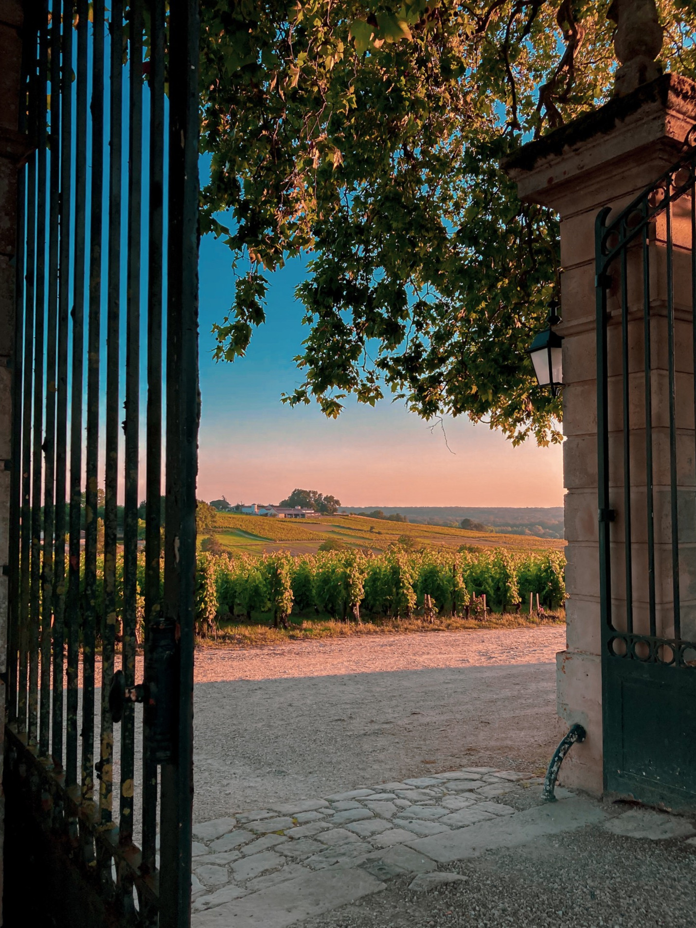 Chateau d'Arche