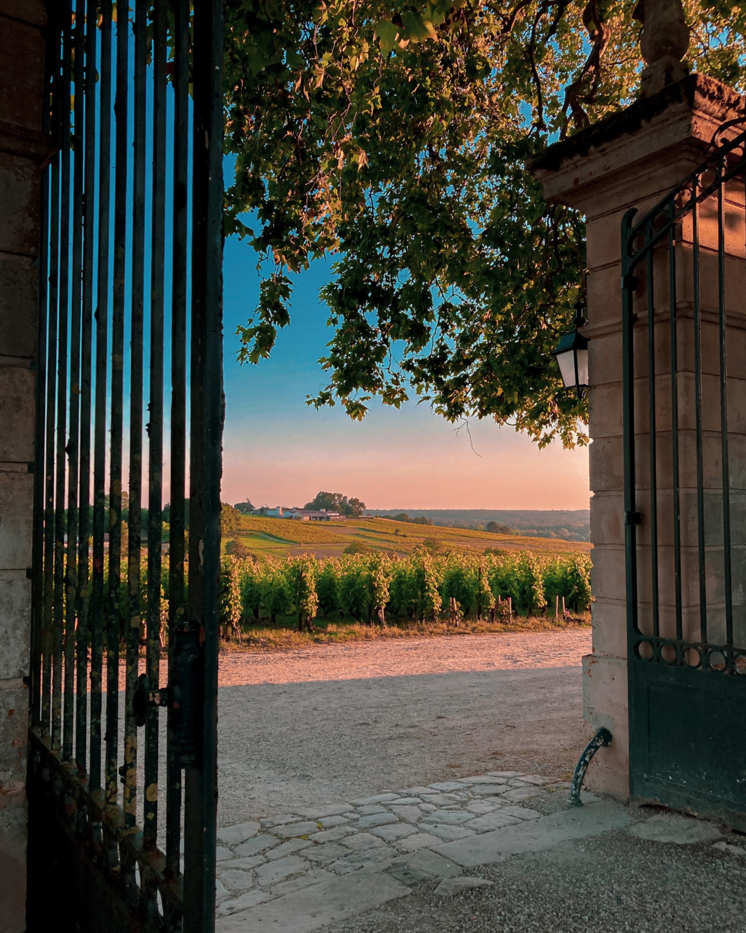 Chateau d'Arche