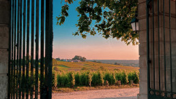 Chateau d'Arche