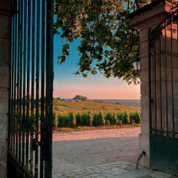 Chateau d'Arche