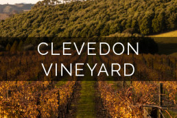 Clevedon Vineyard