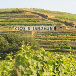 Clos Saint Landelin sign in vineyard