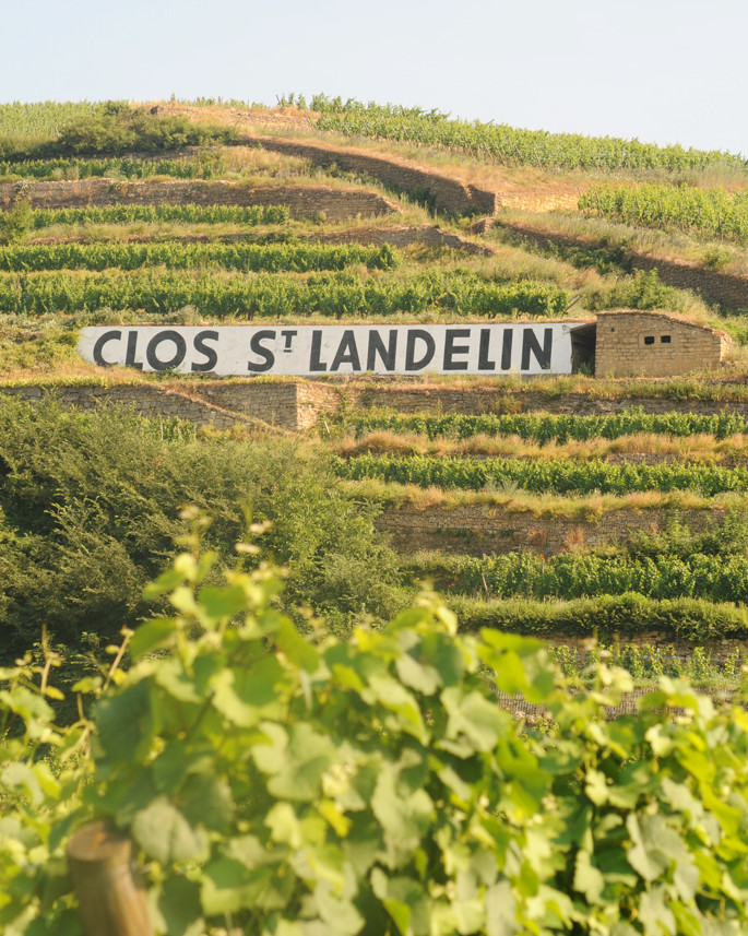 Clos Saint Landelin sign in vineyard
