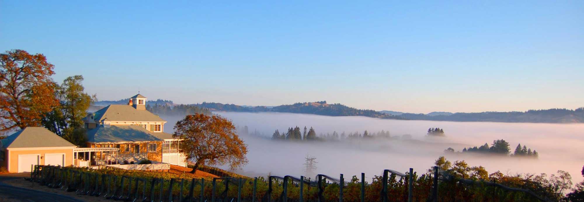 Panoramic view of Flowers' vineyards