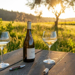 Photo of Flowers wine bottle and wine glasses on table