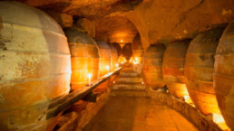 Amphorae wine aging in cellar