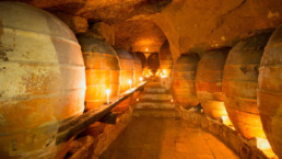 Amphorae wine aging in cellar