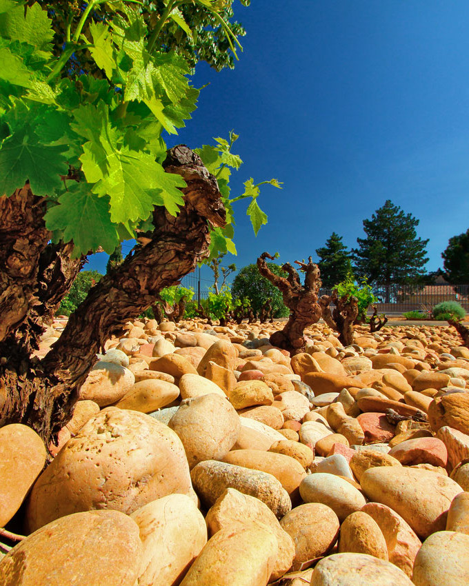 The tale of Ogier's Rhones