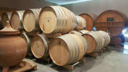 Wine barrels in barrel room