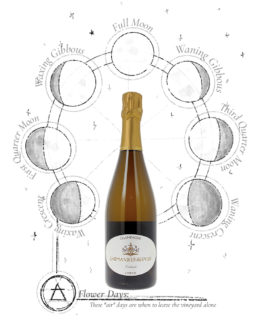 Champagne Larmandier-Bernier Latitude Extra Brut bottleshot