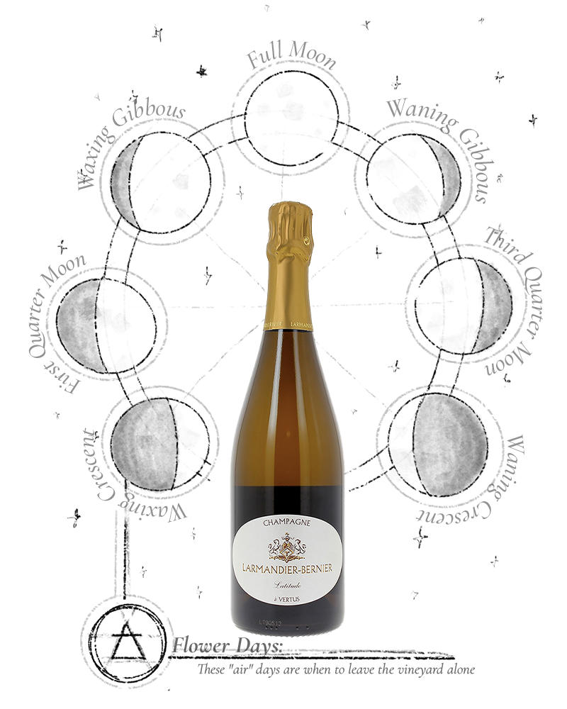 Biodynamic wine shop