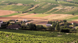 Panoramic view of fields in the Loire Valley