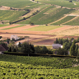 Panoramic view of fields in the Loire Valley