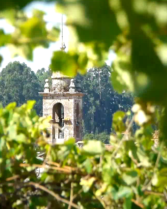 Maior de Mendoza