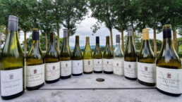 Wines lined up on table