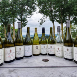 Wines lined up on table