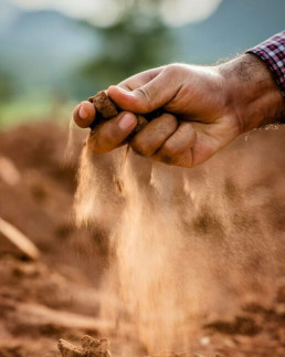 Parés Baltà soil