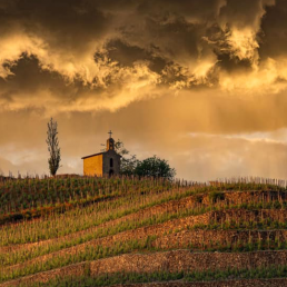 Courtesy of Paul Jaboulet Aîné, Côrtes du Rhône