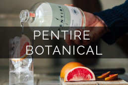 Pentire non alcoholic spirit