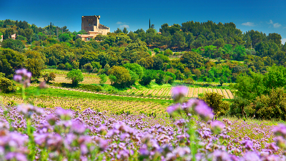 A photo from Ogier Vineyards, Côrtes du Rhône