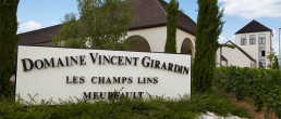 Pierre Vincent Girardin